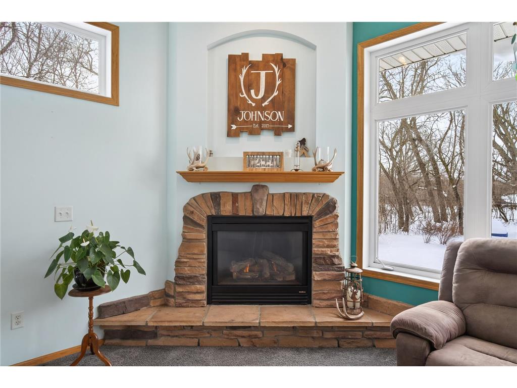 17585 218th Avenue NW Big Lake Twp MN 55309 7033684 image17