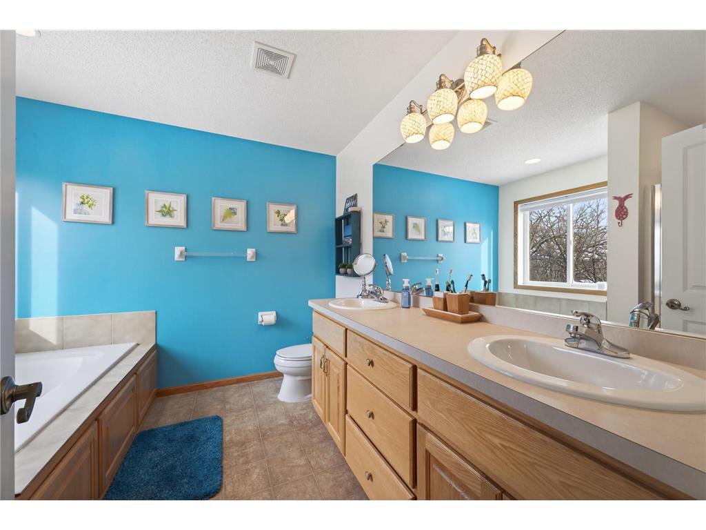 17585 218th Avenue NW Big Lake Twp MN 55309 7033684 image24