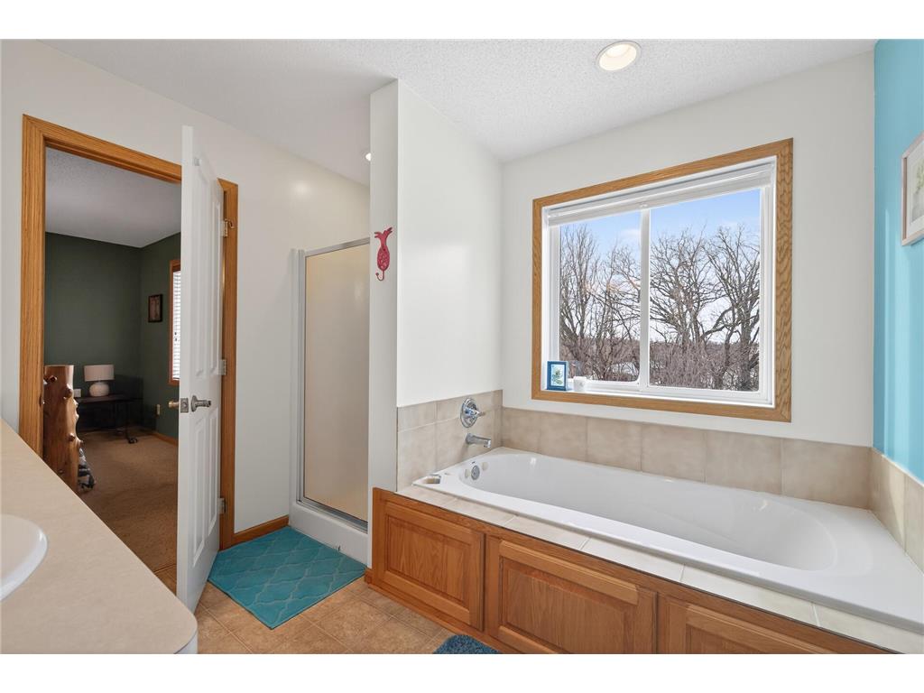 17585 218th Avenue NW Big Lake Twp MN 55309 7033684 image25