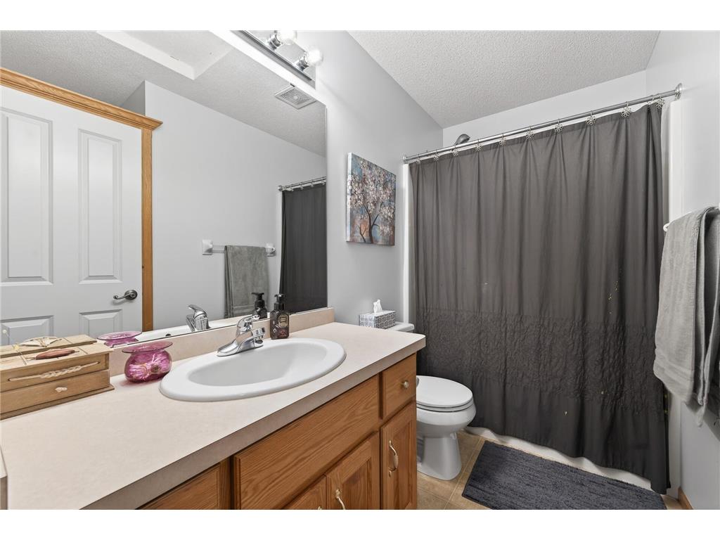 17585 218th Avenue NW Big Lake Twp MN 55309 7033684 image29