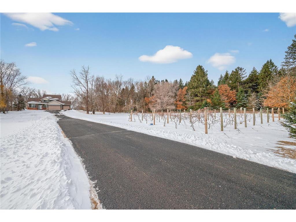 17585 218th Avenue NW Big Lake Twp MN 55309 7033684 image53