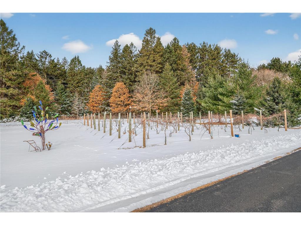 17585 218th Avenue NW Big Lake Twp MN 55309 7033684 image55