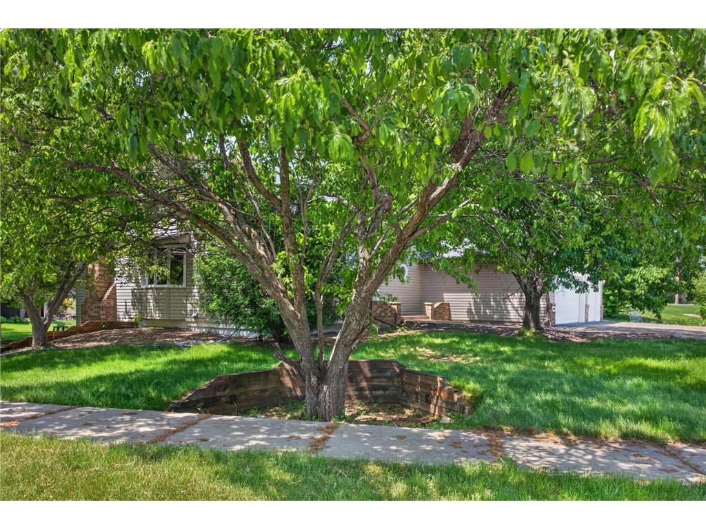 17588 66th Avenue N Maple Grove MN 55311 7081217 image42