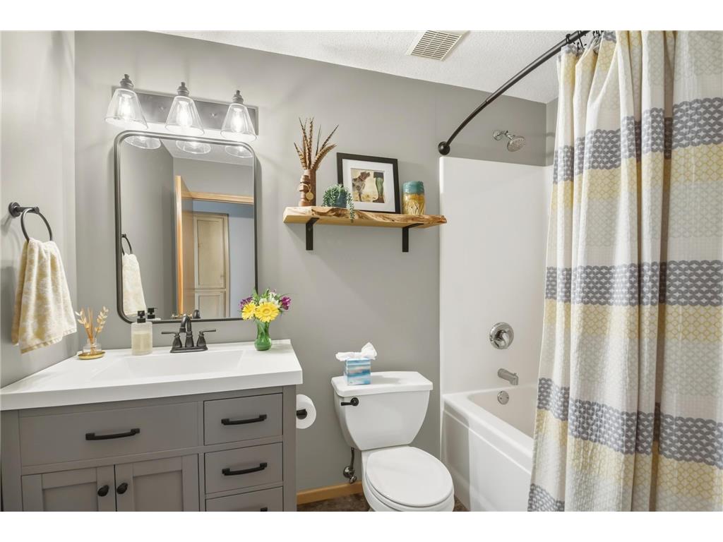 17594 S Gage Avenue Lakeville MN 55024 7083006 image20