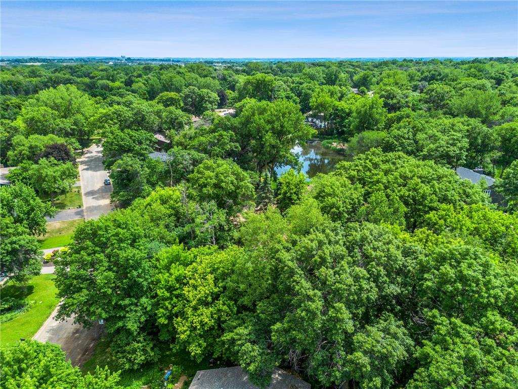 17595 Italy Court Lakeville MN 55044 7073035 image62