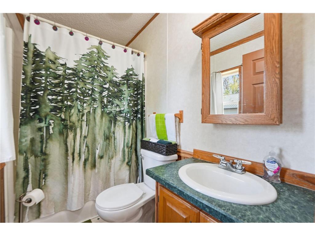 17596 Lake Street E Osakis MN 56360 - Osakis 7080055 image20