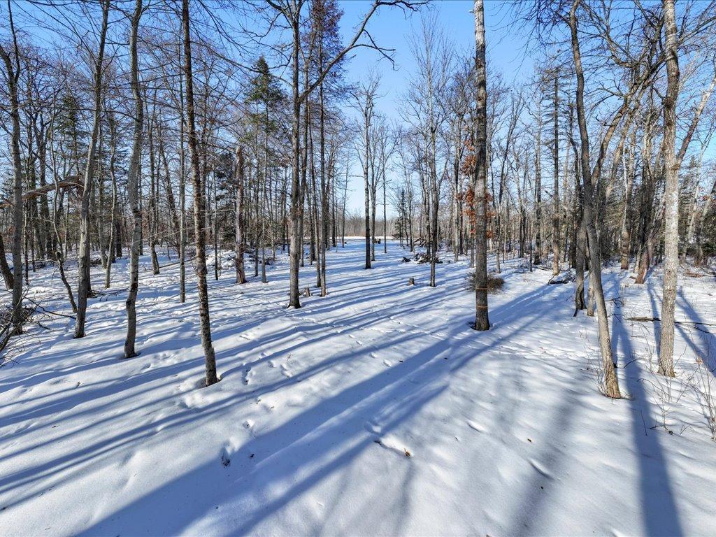 17614 County Road 11 Mission Twp MN 56441 7016752 image10