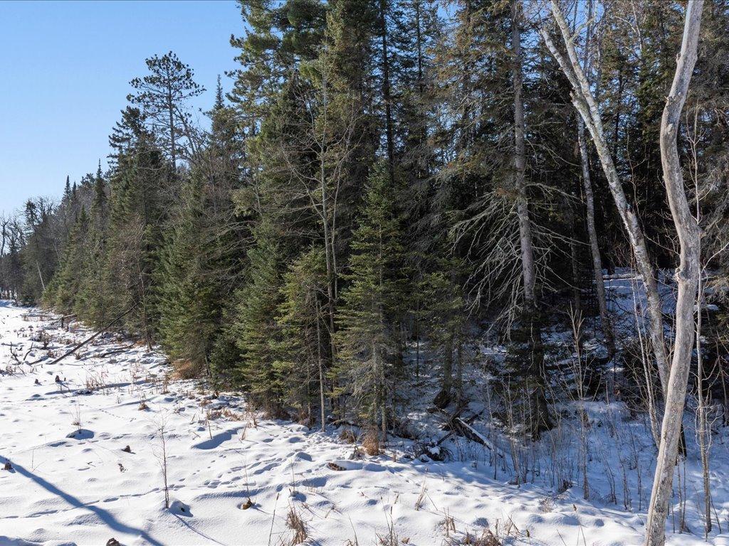 17614 County Road 11 Mission Twp MN 56441 7016752 image13