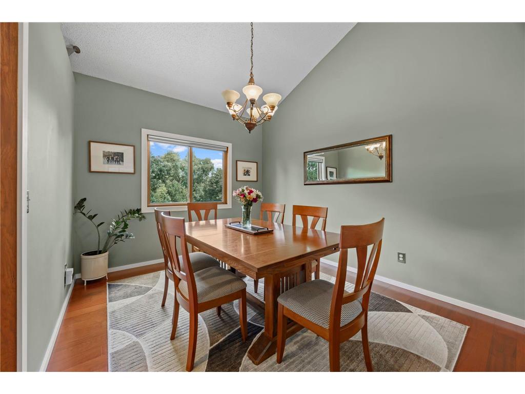 17633 Iberia Avenue Lakeville MN 55044 7105870 image14