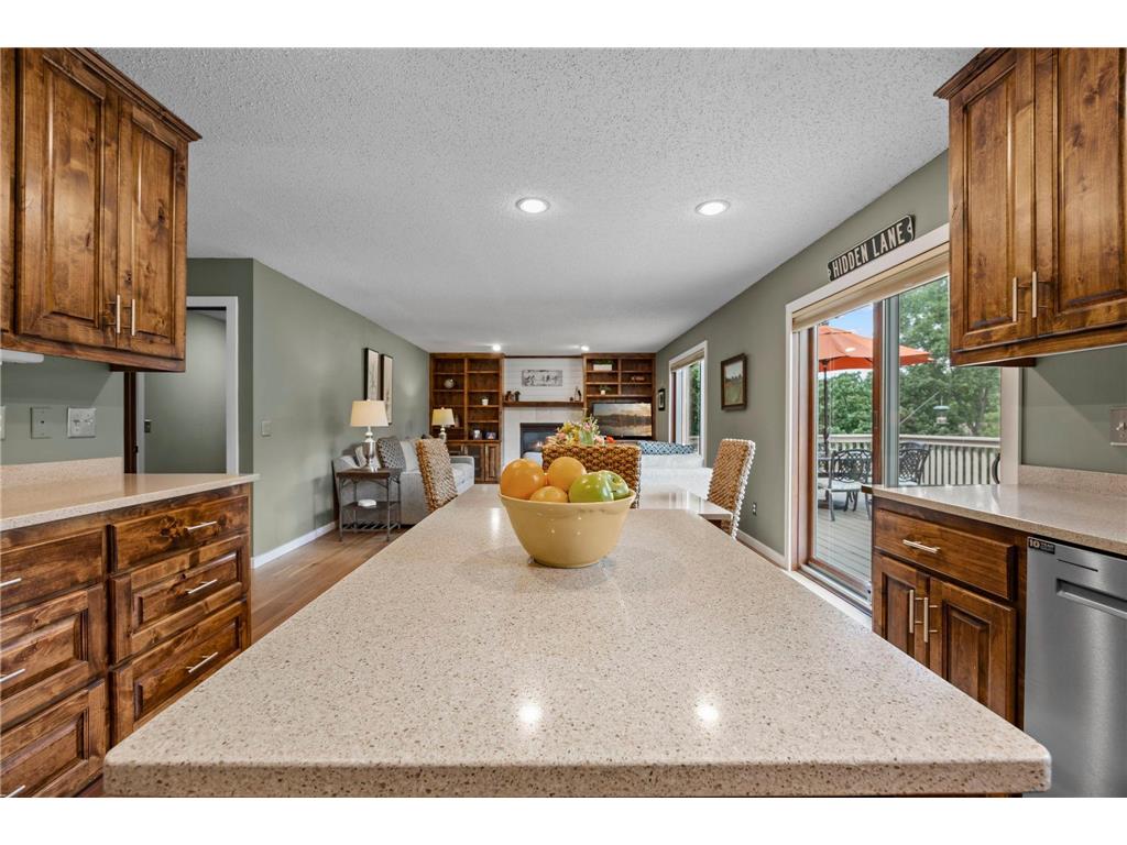 17633 Iberia Avenue Lakeville MN 55044 7105870 image25