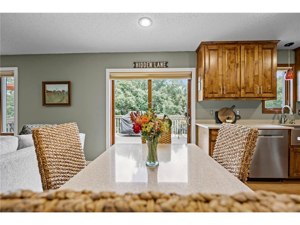 17633 Iberia Avenue Lakeville MN 55044 7105870 image26