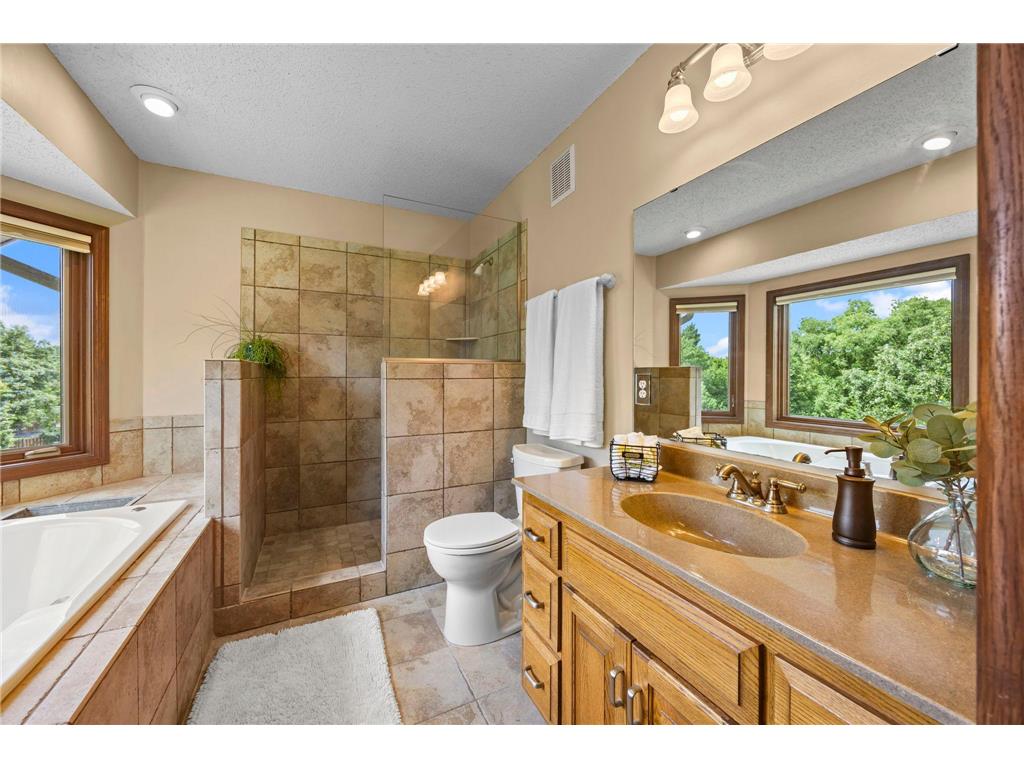 17633 Iberia Avenue Lakeville MN 55044 7105870 image41