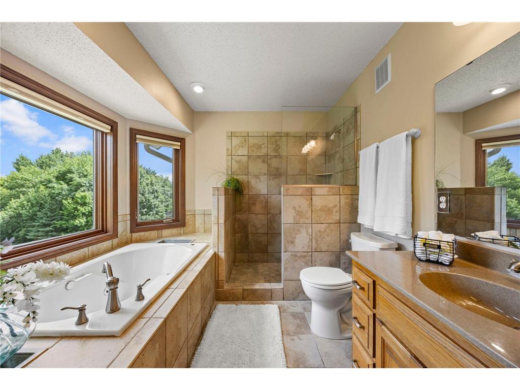 17633 Iberia Avenue Lakeville MN 55044 7105870 image42