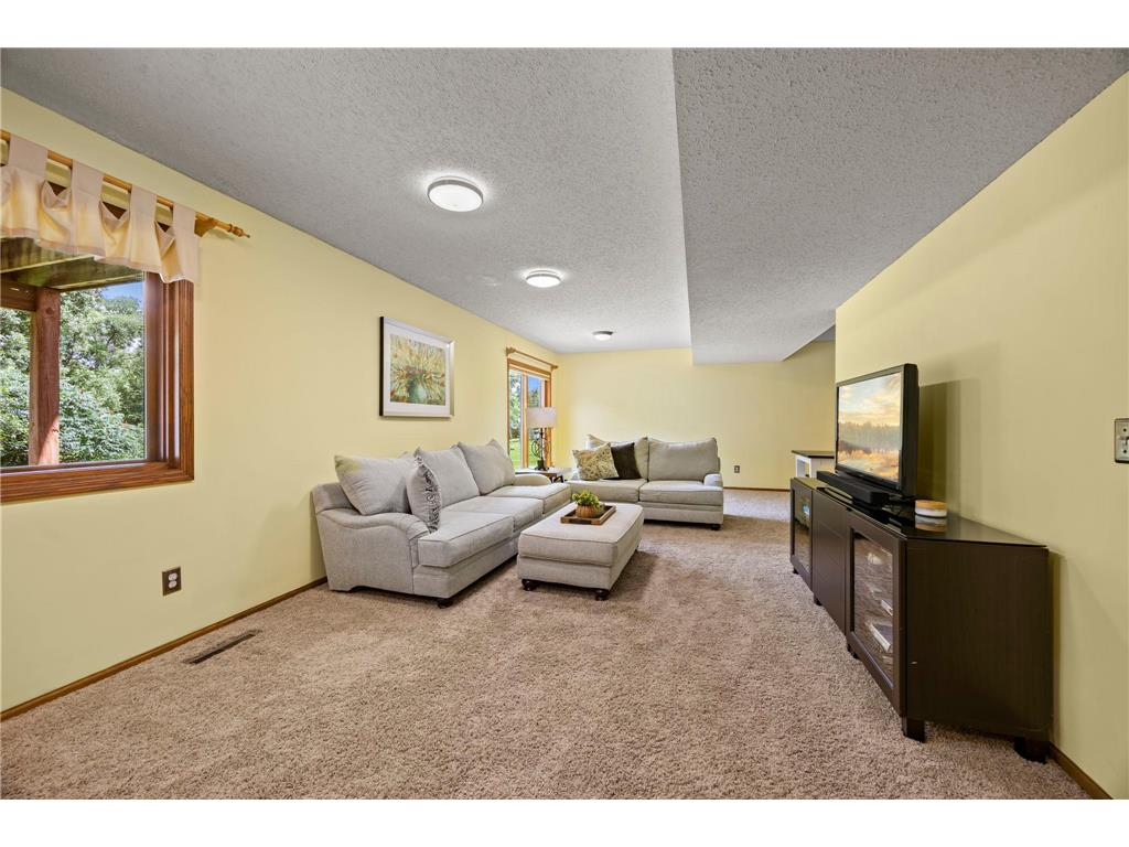 17633 Iberia Avenue Lakeville MN 55044 7105870 image56