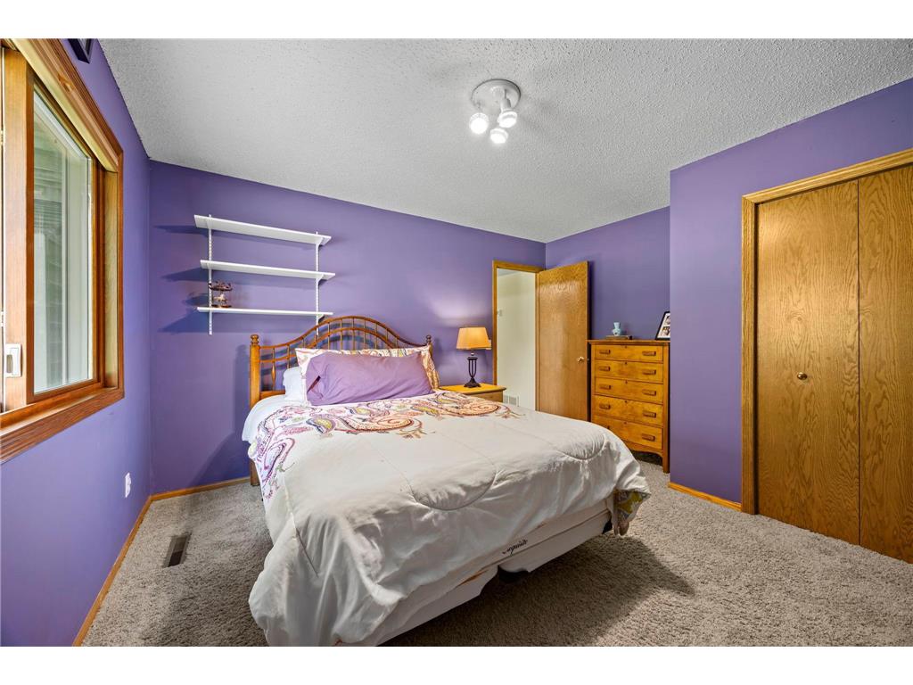 17633 Iberia Avenue Lakeville MN 55044 7105870 image59