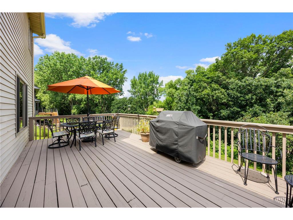 17633 Iberia Avenue Lakeville MN 55044 7105870 image62