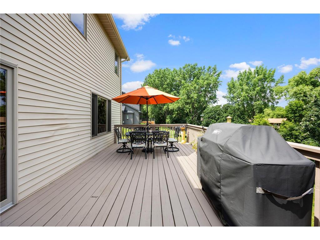 17633 Iberia Avenue Lakeville MN 55044 7105870 image63