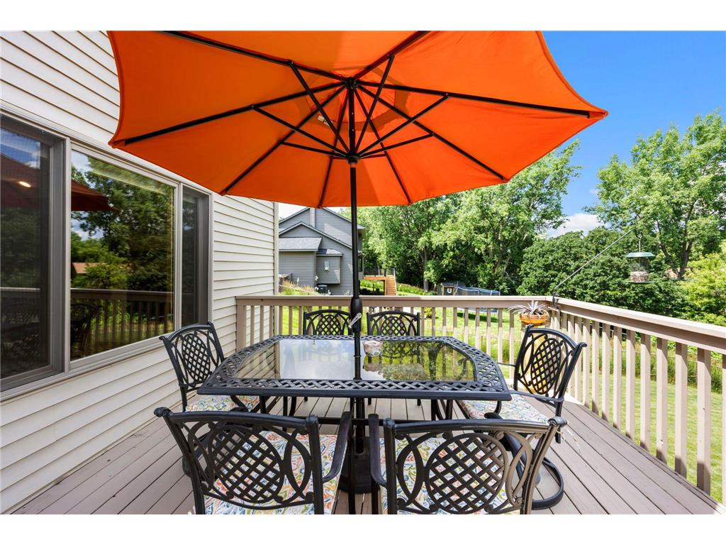 17633 Iberia Avenue Lakeville MN 55044 7105870 image64