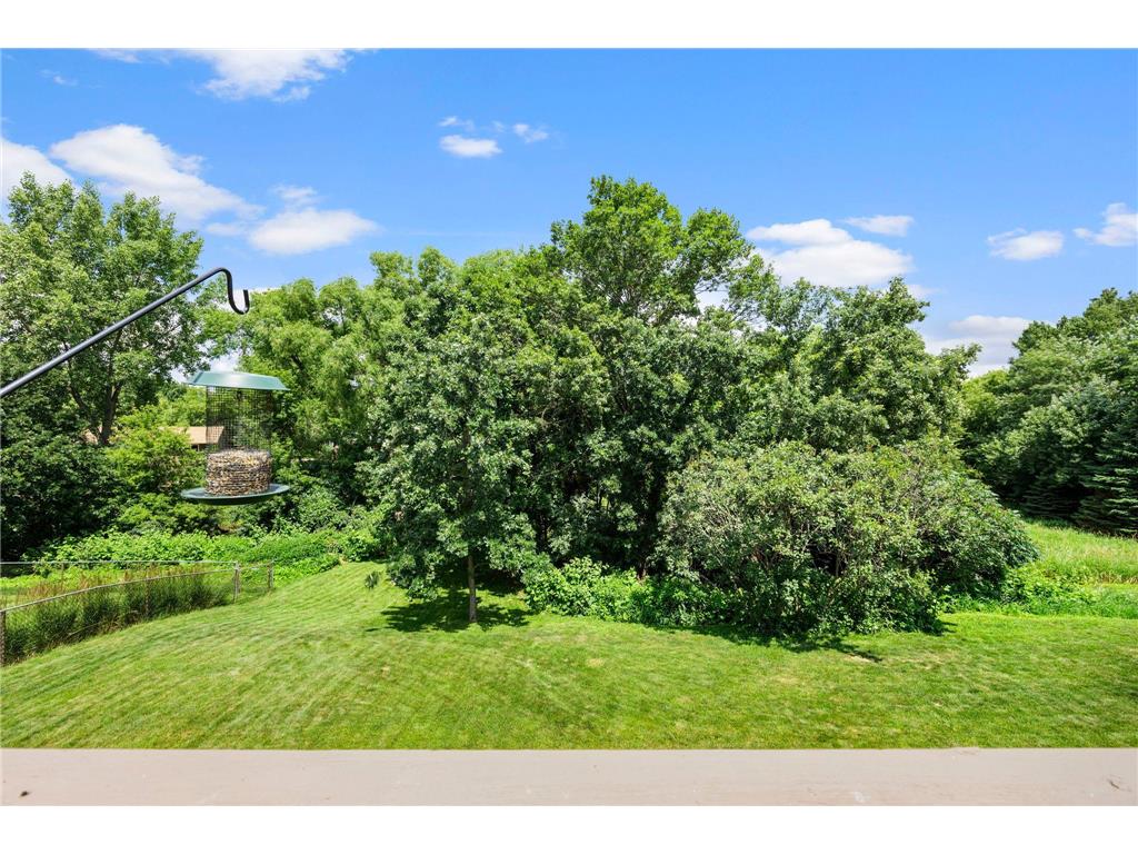 17633 Iberia Avenue Lakeville MN 55044 7105870 image72