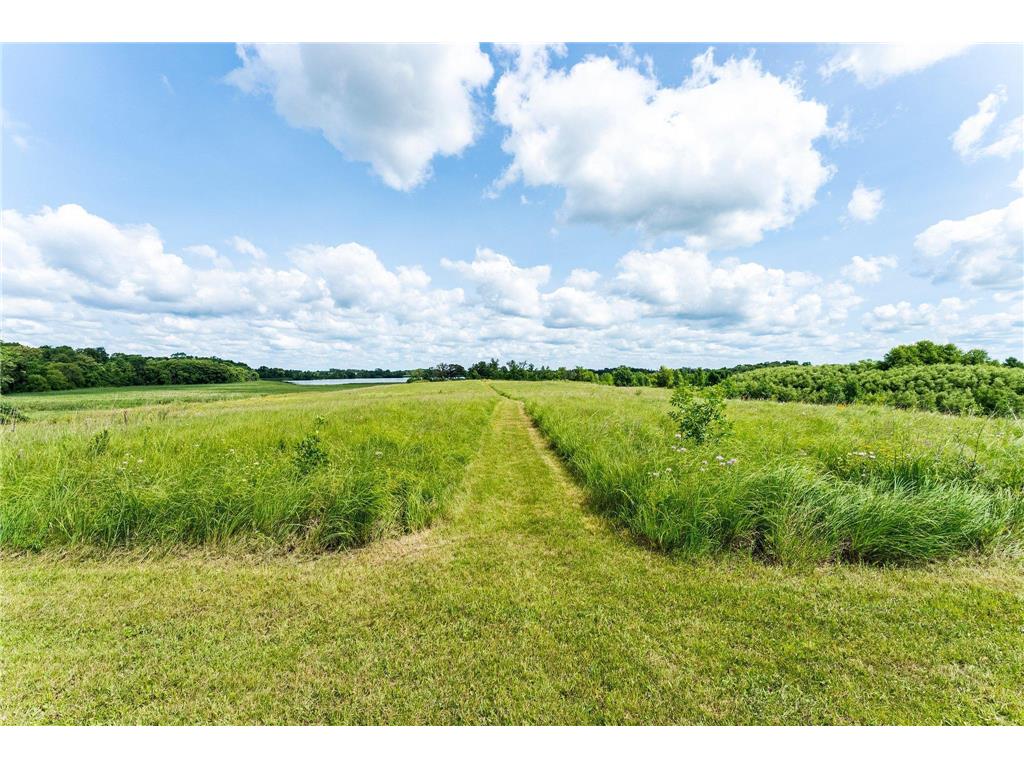 17634 240th Street Hutchinson Twp MN 55350 - Todd 6683699 image50