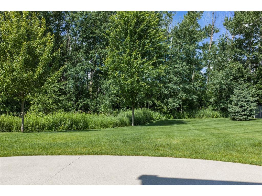 17636 Natures Way SE Prior Lake MN 55372 7054758 image30
