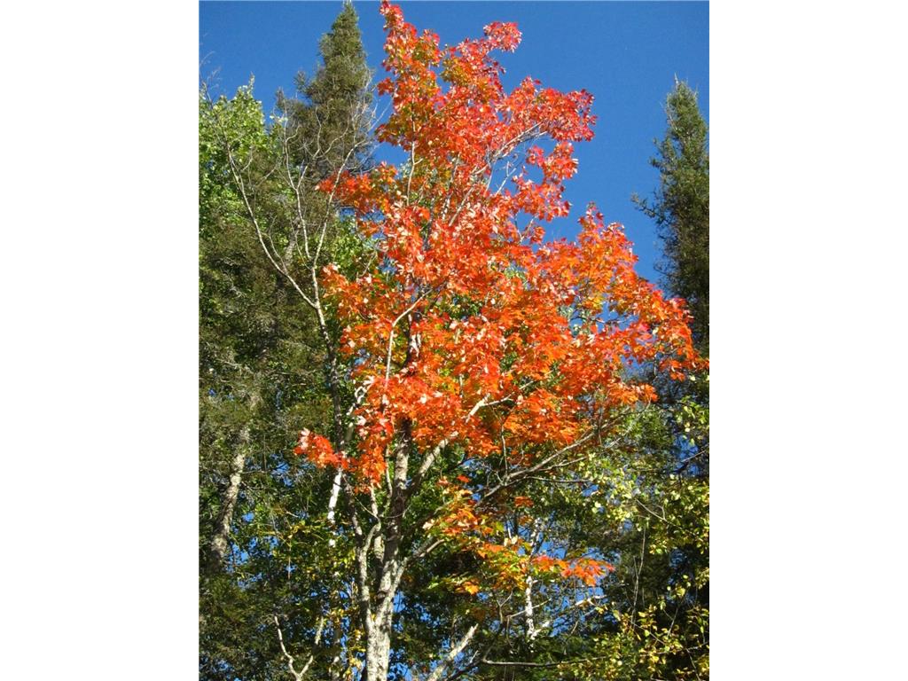 1764 Wildwood Road, Duluth Twp, MN, 55804 MLS 6504408 Edina Realty