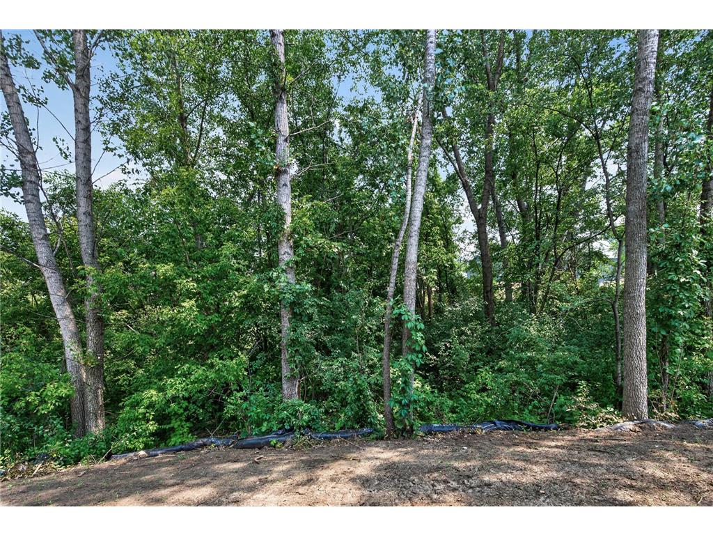 1765 Brandlewood Court Hastings MN 55033 7049868 image25