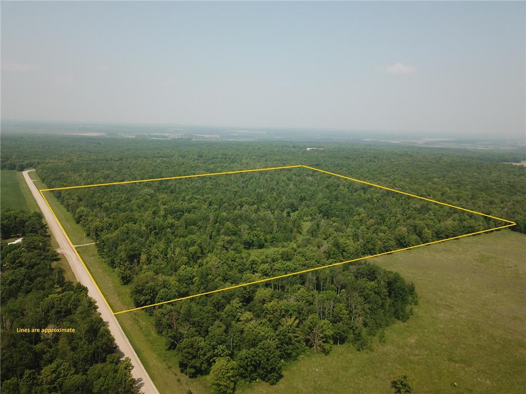 17650 Mosquito Creek Road Minerva Twp MN 56621 6737664 image1