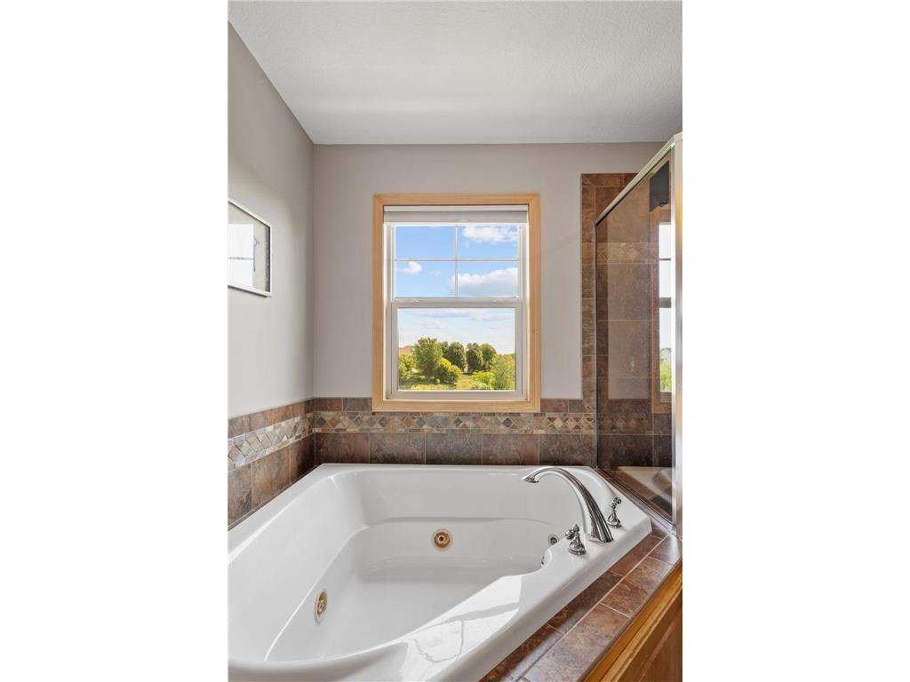 17662 Hayes Avenue Lakeville MN 55044 7081876 image26