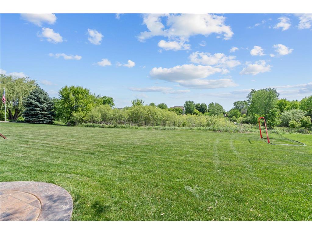 17662 Hayes Avenue Lakeville MN 55044 7081876 image49