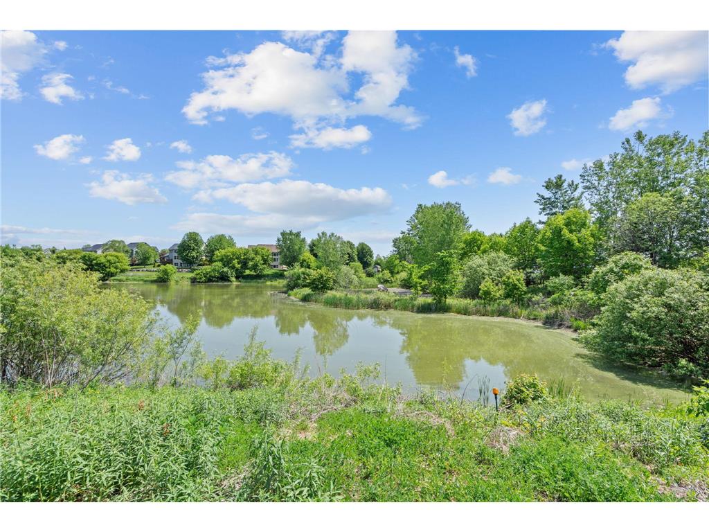 17662 Hayes Avenue Lakeville MN 55044 7081876 image54
