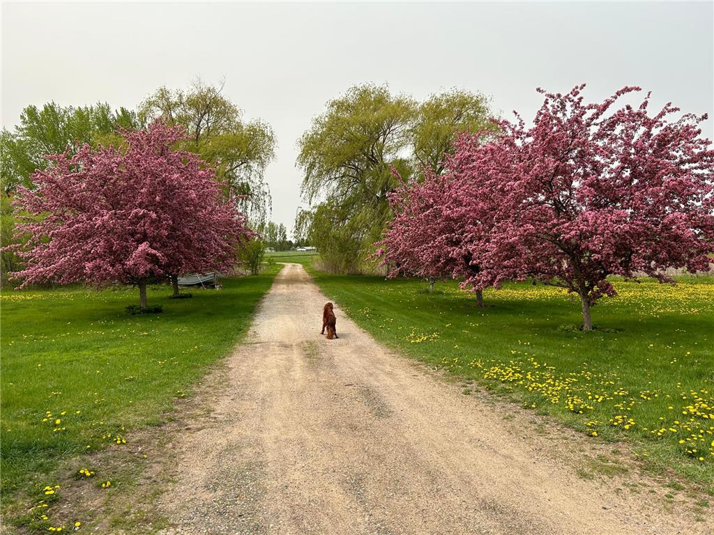 17672 County Road 14 NW Big Lake Twp MN 55309 7023596 image35