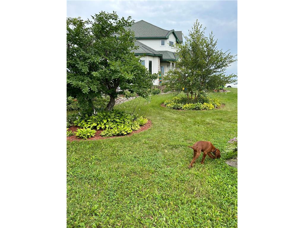 17672 County Road 14 NW Big Lake Twp MN 55309 7023596 image41