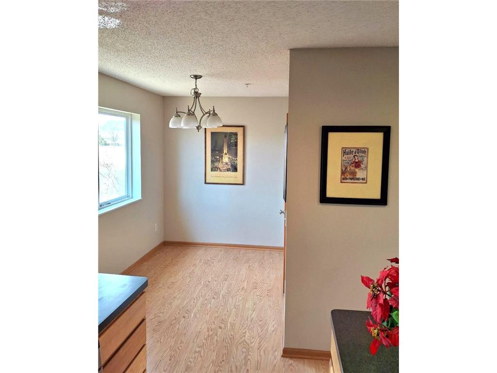 17673 69th Place N Maple Grove MN 55311 7049446 image7