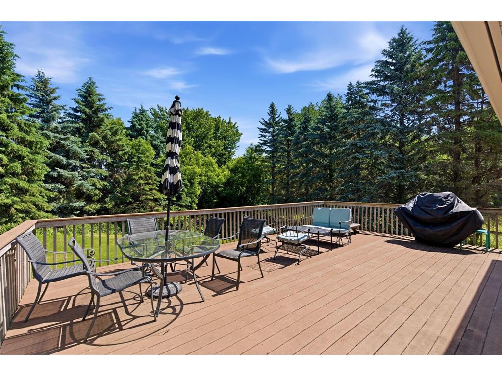 17678 Kettering Trail Lakeville MN 55044 7086140 image14
