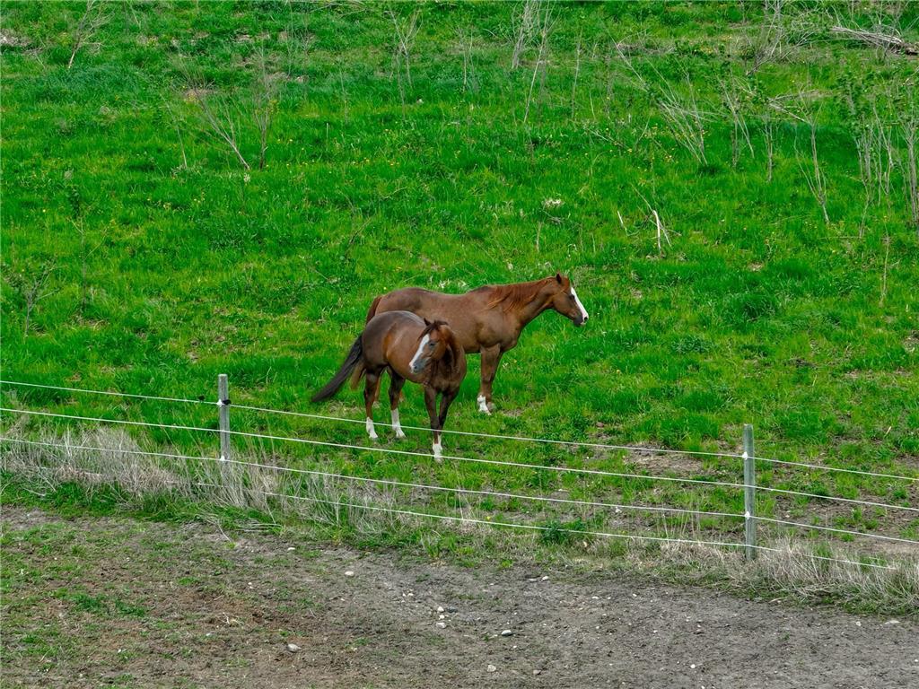 17690 Clayton Avenue E Vermillion Twp MN 55068 6724841 image113