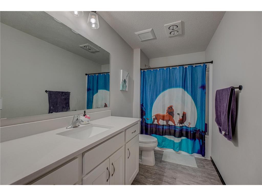 17690 Clayton Avenue E Vermillion Twp MN 55068 6724841 image47