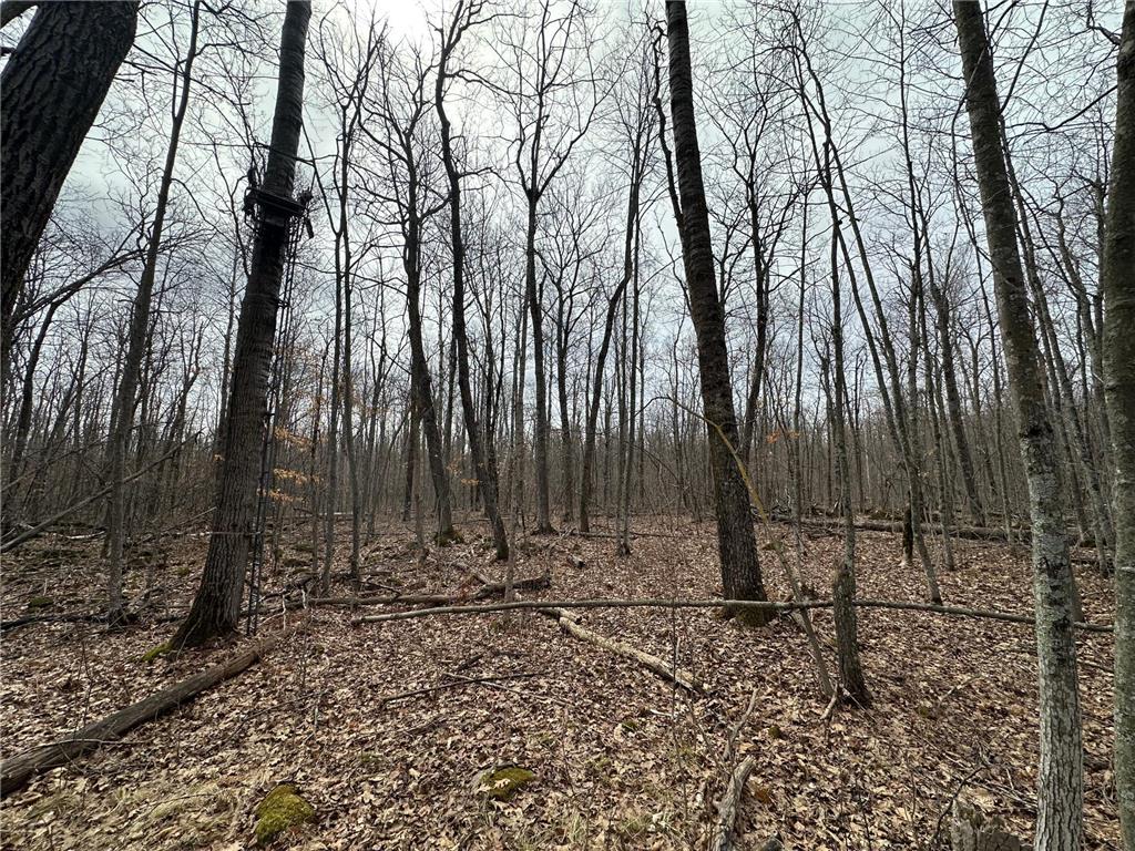 17700 County Road 41 Willow River MN 55795 7051797 image10