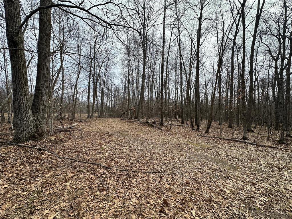 17700 County Road 41 Willow River MN 55795 7051797 image15