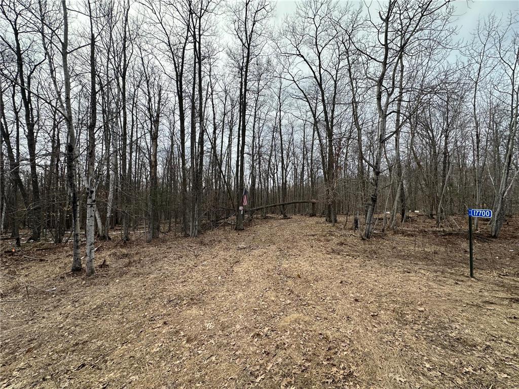 17700 County Road 41 Willow River MN 55795 7051797 image7