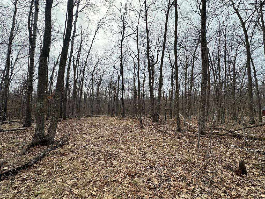 17700 County Road 41 Willow River MN 55795 7051797 image8