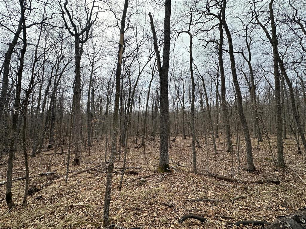 17700 County Road 41 Willow River MN 55795 7051797 image9