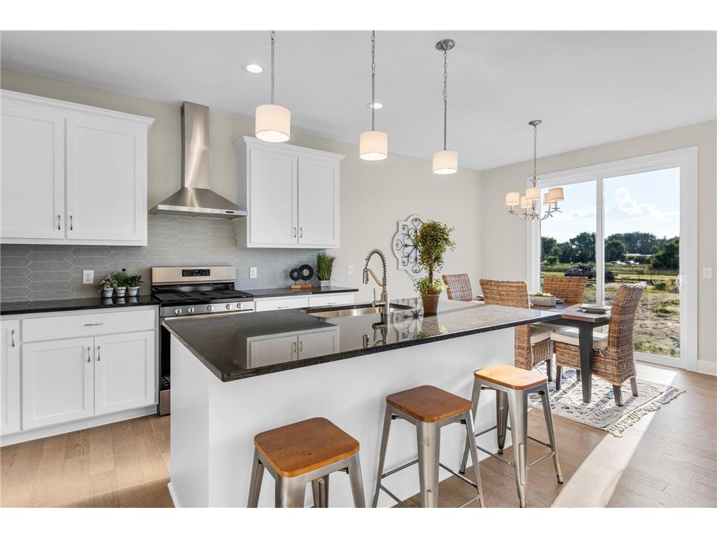 17701 Emerald Court Lakeville MN 55044 6613623 image1