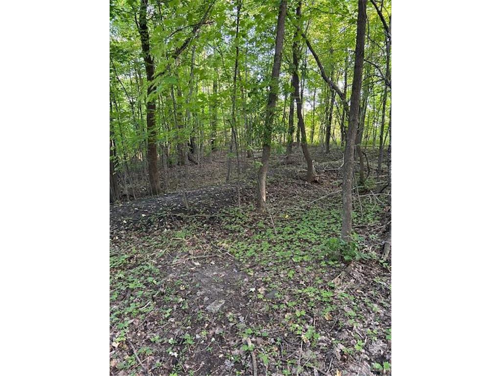 17701 Mushtown Road Prior Lake MN 55372 6658551 image1