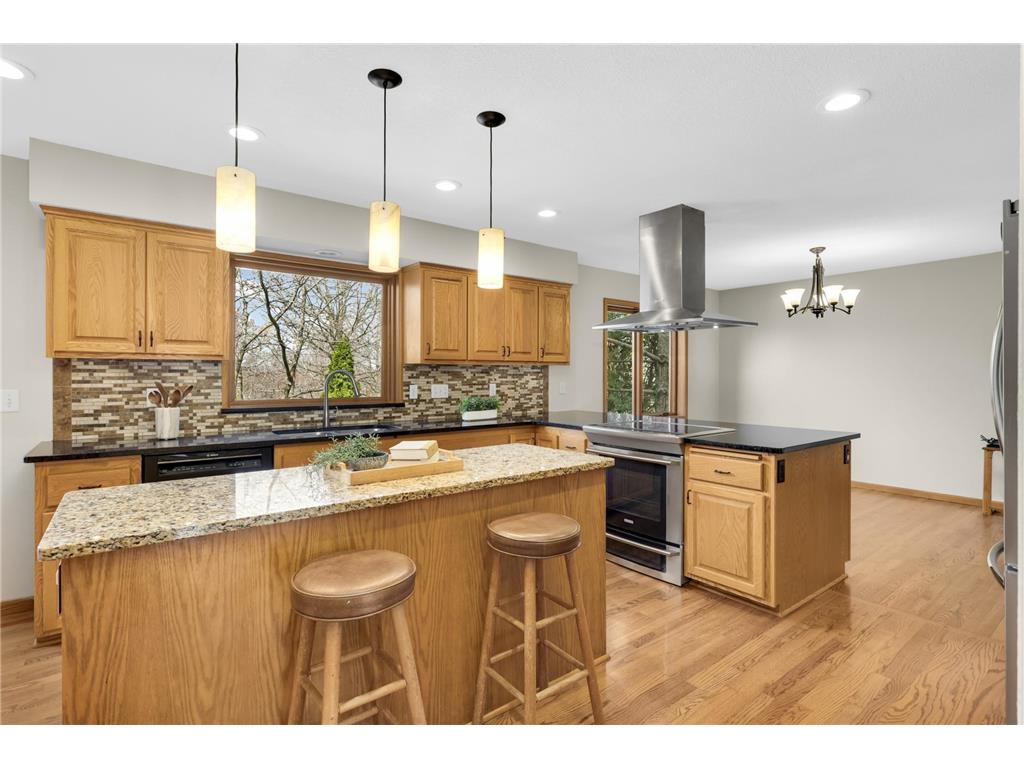 17704 Icon Trail Lakeville MN 55044 7046760 image18