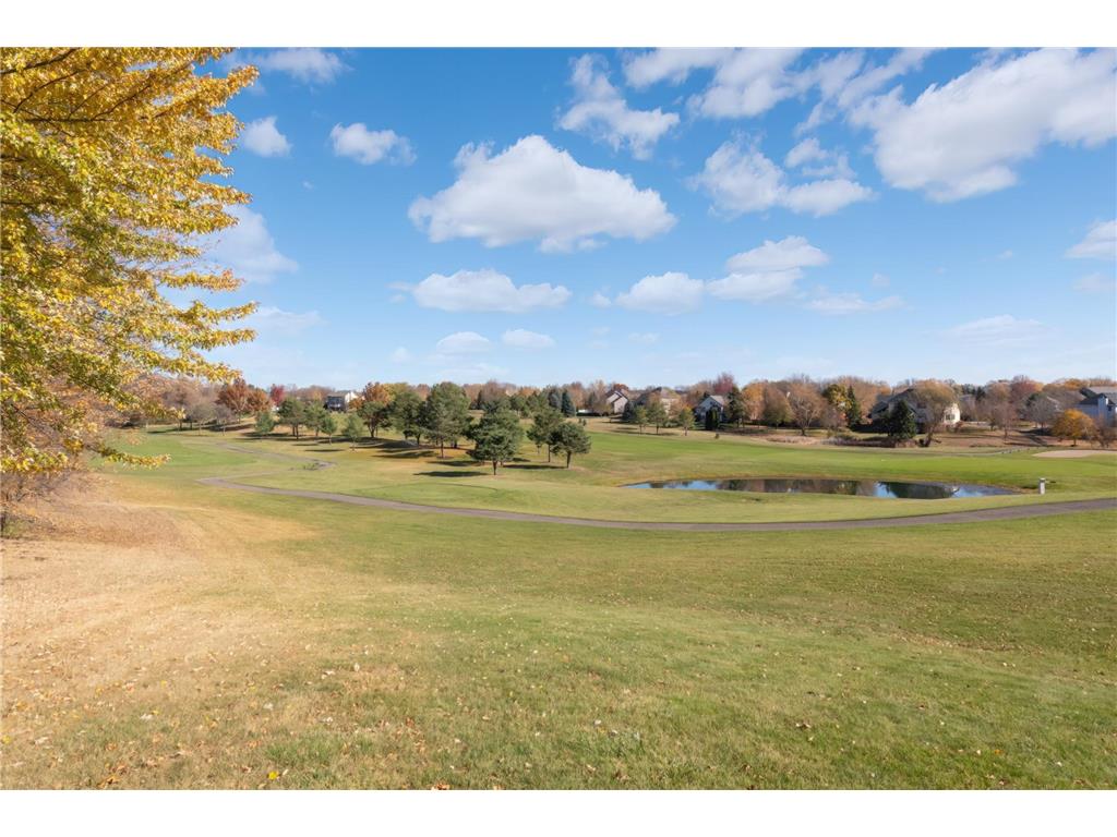 17704 Icon Trail Lakeville MN 55044 7046760 image46