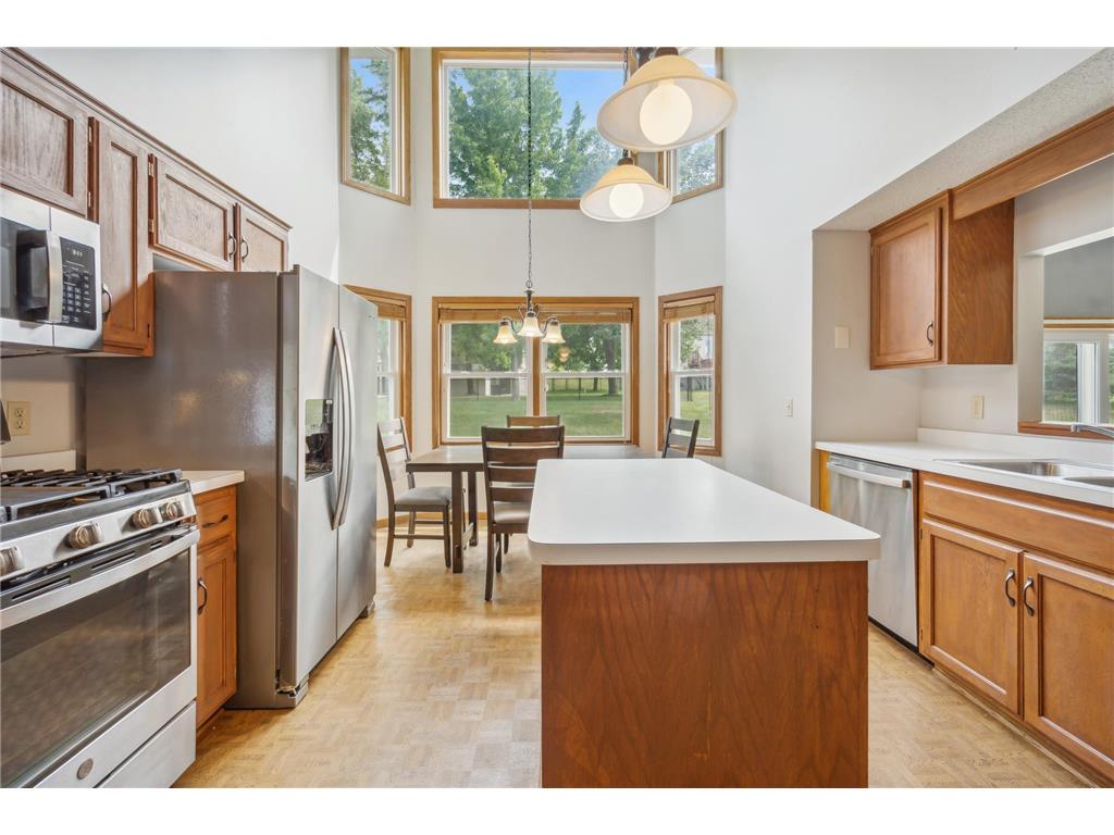 17705 Icon Trail Lakeville MN 55044 6460866 image1