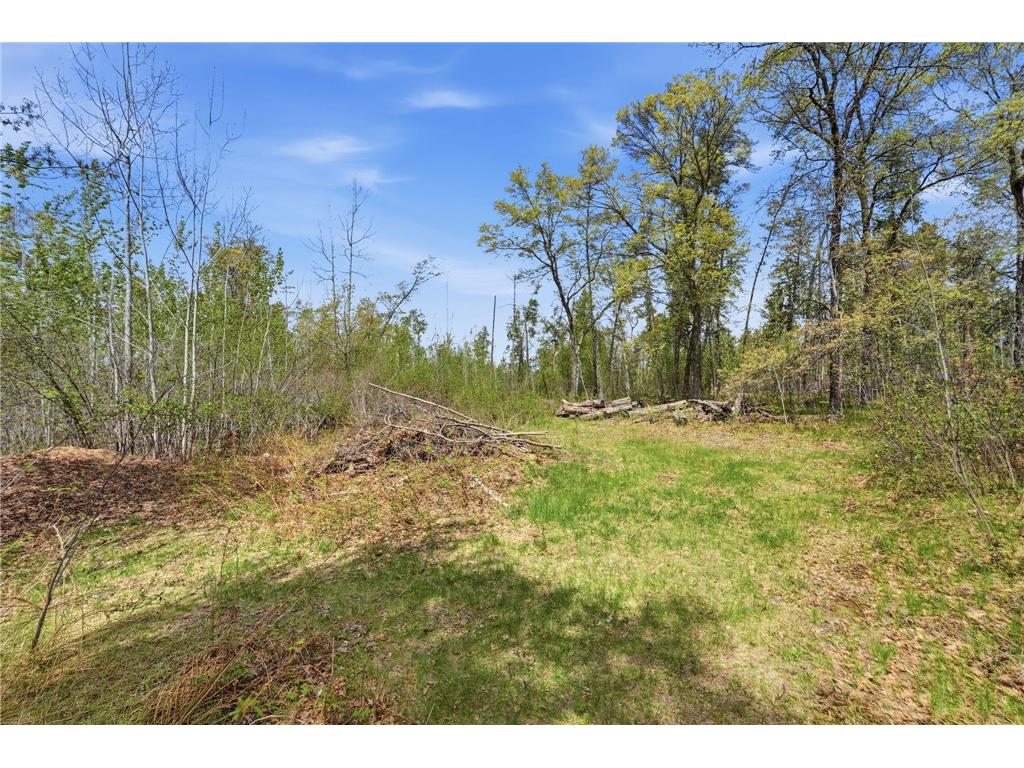 17717 Lake Allen Drive Brainerd MN 56401 7078812 image33