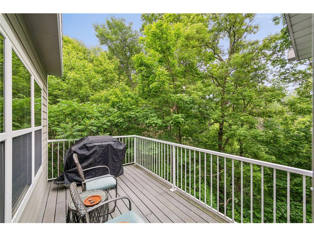 17735 Valley Cove Court Minnetonka MN 55345 7089337 image31