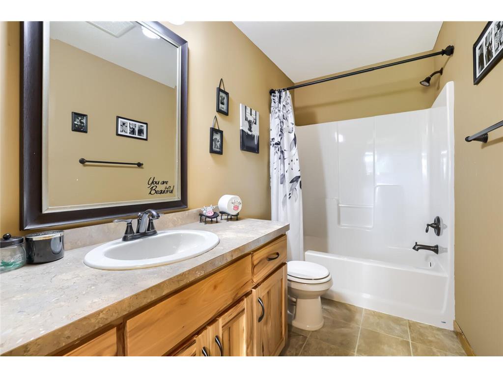 17735 Xenia Street NW Andover MN 55304 7112941 image18